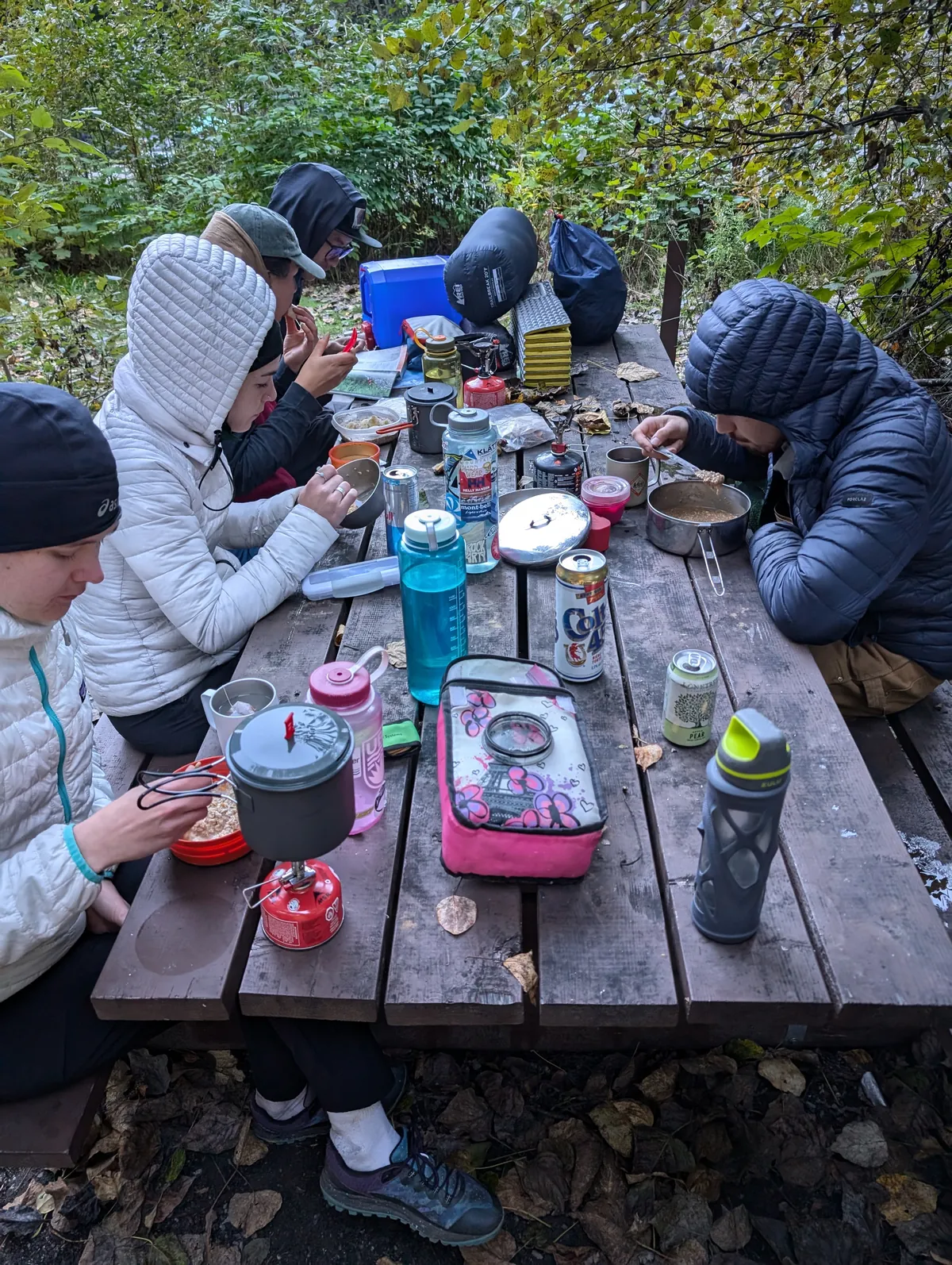 Breakfast at a picnic table, camp stoves and cookware crowded between us.