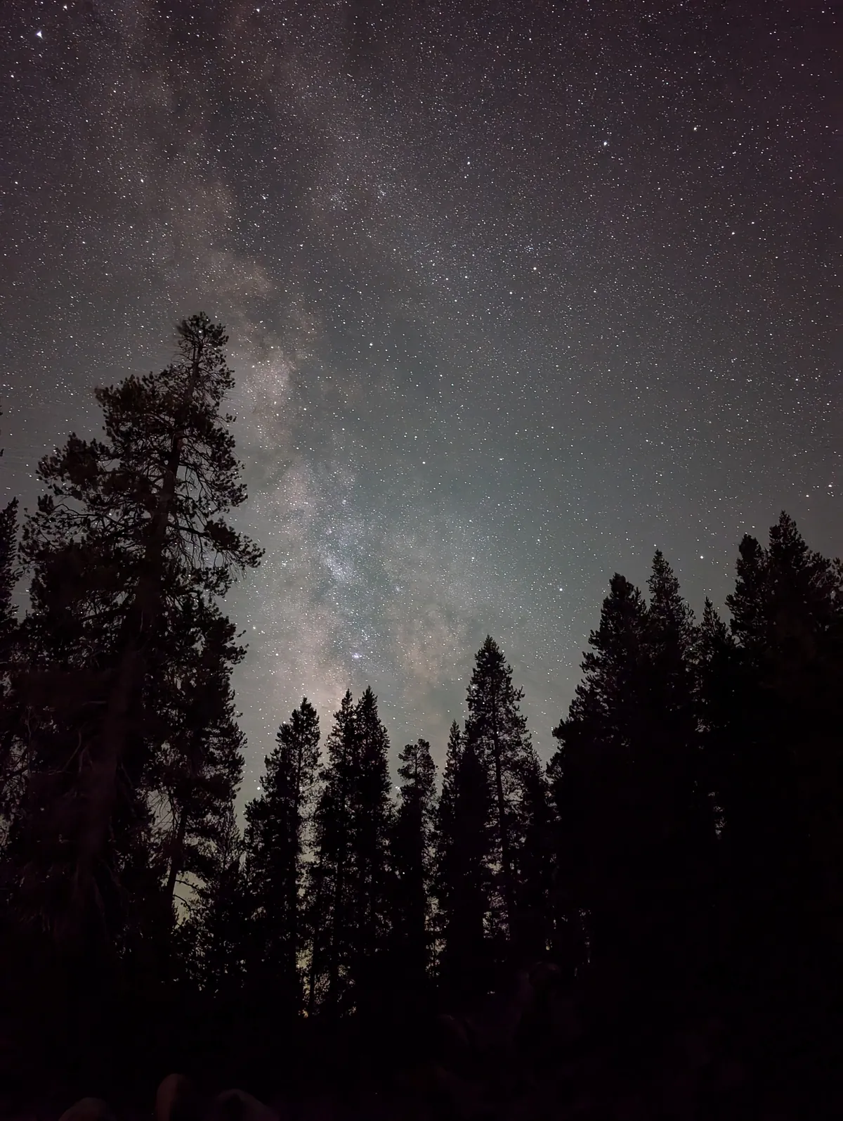 View of the milky way from the campsite.